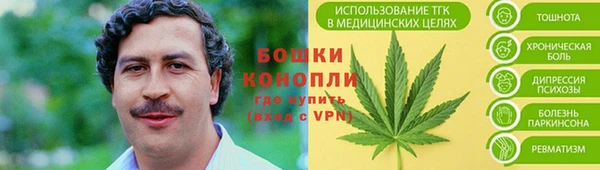 мдпв Волосово