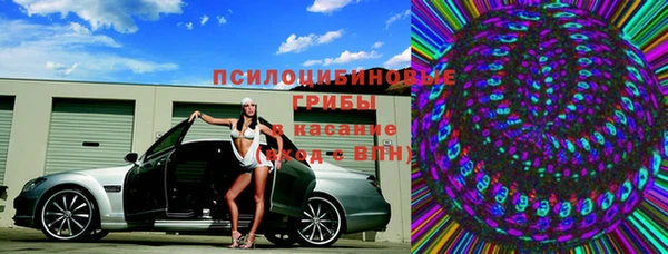 ПСИЛОЦИБИНОВЫЕ ГРИБЫ Верхний Тагил